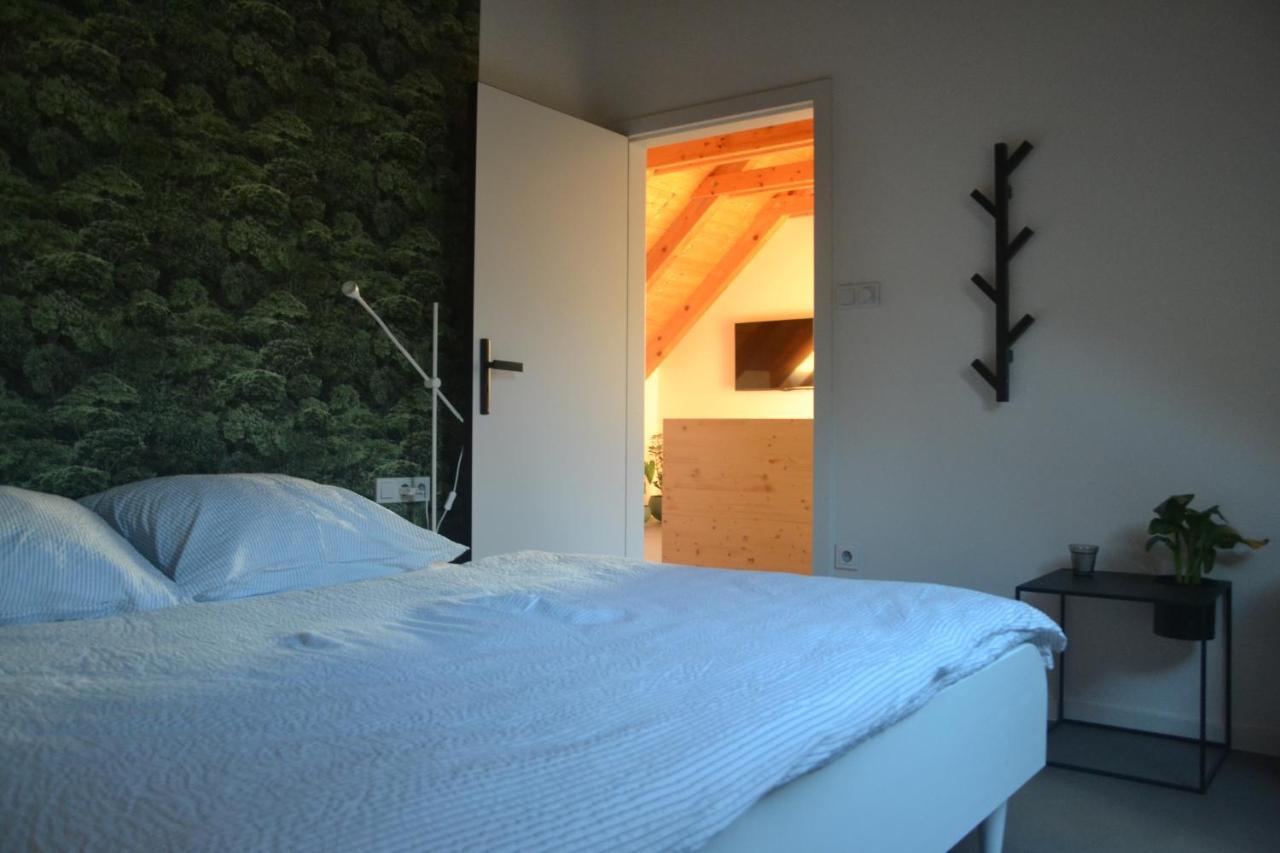 Apartman Cervenice Dlouhy المظهر الخارجي الصورة