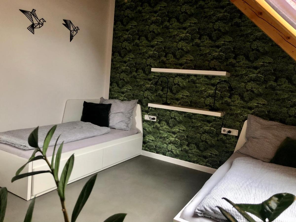 Apartman Cervenice Dlouhy المظهر الخارجي الصورة